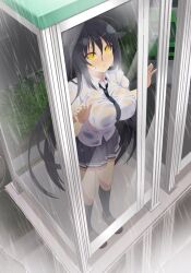 Rule 34 | 1girl, :o, against glass, black hair, black necktie, bra visible through clothes, breast press, breasts, breasts on glass, brown footwear, bus stop, bush, hair between eyes, highres, huge breasts, hyoki (senran kagura), hyoki (senran kagura), loafers, long hair, necktie, official art, open mouth, phone booth, puddle, rain, road, school uniform, see-through, see-through shirt, senran kagura, senran kagura new wave, shirt, shoes, skirt, slit pupils, solo, standing, street, very long hair, water drop, wet, wet clothes, wet hair, wet shirt, wet skirt, white shirt, yaegashi nan, yellow eyes