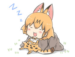 Rule 34 | 1girl, :3, :d, animal ear fluff, animal ears, bad id, bad pixiv id, blush, bow, bowtie, brown hair, chibi, closed eyes, commentary request, elbow gloves, extra ears, facing viewer, full body, gloves, hair between eyes, kemono friends, noai nioshi, open mouth, print bow, print bowtie, print gloves, print neckwear, print skirt, print thighhighs, rock, serval (kemono friends), serval print, serval tail, shirt, skirt, sleeping, sleeveless, sleeveless shirt, smile, solo, striped tail, tail, thighhighs, white background, white shirt, zzz
