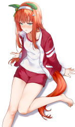 Rule 34 | 1girl, animal ears, green eyes, highres, horse ears, horse girl, horse tail, jacket, long hair, long sleeves, looking at viewer, orange hair, red jacket, red shorts, saboten, shorts, silence suzuka (umamusume), simple background, solo, tail, thighs, track jacket, umamusume, white background