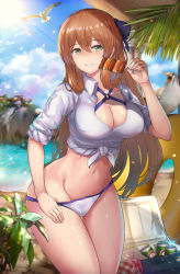 Rule 34 | 1girl, absurdres, bad id, bad pixiv id, beach, beluga dolphin, bikini, bikini tug, bird, blue sky, blush, breasts, brown hair, cloud, commentary request, cooler, day, girls&#039; frontline, glint, green eyes, grin, groin, hair between eyes, hair rings, highres, large breasts, long hair, looking at viewer, navel, official alternate costume, outdoors, plant, revision, seagull, shirt, sidelocks, sky, smile, solo, springfield (girls&#039; frontline), springfield (stirring mermaid) (girls&#039; frontline), stomach, sunlight, swimsuit, tied shirt, wet, white bikini, white shirt