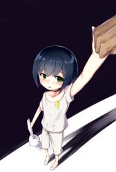 Rule 34 | 1girl, blue hair, blush, bob cut, choker, commentary, darkness, darling in the franxx, foreshortening, from above, green eyes, holding hands, highres, ichigo (darling in the franxx), looking at viewer, open mouth, pants, rocha (aloha ro cha), shadow, shirt, short hair, slippers, solo focus, stuffed animal, stuffed rabbit, stuffed toy, tearing up, white pants, white shirt, worried, aged down