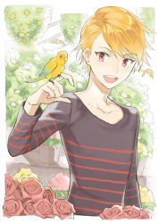 Rule 34 | 10s, 1boy, :d, akimachi, animal, arm up, bird, blonde hair, collarbone, flower, flying, greenhouse, idolmaster, idolmaster side-m, looking at another, maita rui, male focus, open mouth, plant, potted plant, red eyes, red flower, red rose, rose, shirt, smile, striped clothes, striped shirt, upper body, yellow flower, yellow rose