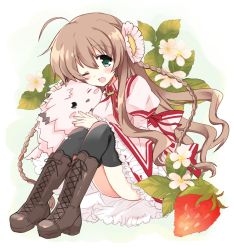 Rule 34 | 10s, 1girl, ;d, ahoge, bad id, bad pixiv id, black thighhighs, blush, boots, braid, brown hair, chibi-moth, dog, dress, food, fruit, green eyes, highres, hizuki yayoi, kanbe kotori, knee boots, long hair, one eye closed, open mouth, oversized object, rewrite, school uniform, sitting, smile, solo, strawberry, thighhighs, twin braids