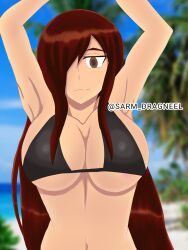 Rule 34 | 1girl, absurdres, armpits, arms up, artist name, bikini, black bikini, blue sky, blush, breasts, cleavage, erza scarlet, expressionless, fairy tail, highres, large breasts, long hair, looking at viewer, navel, non-web source, sarmdragneel, sky, solo, swimsuit, twitter username