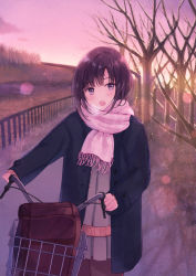 Rule 34 | 1girl, :o, bag, bare tree, bicycle, black coat, black hair, black pantyhose, blush, breath, coat, commentary request, cowboy shot, fence, grey skirt, handbag, head tilt, highres, long coat, long sleeves, looking at viewer, miniskirt, nagidango, open clothes, open coat, open mouth, original, outdoors, pantyhose, pink scarf, pink sky, purple eyes, revision, scarf, short hair, skirt, sky, sleeves past wrists, solo, standing, sweater, tree, twilight, uniform, winter, winter clothes