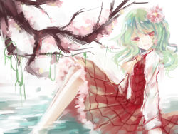 Rule 34 | 1girl, alternate hair length, alternate hairstyle, ascot, bare legs, cherry blossoms, collared shirt, flower, green hair, hair flower, hair ornament, kazami yuuka, leng kui lk, long hair, long sleeves, looking at viewer, looking to the side, parted lips, partially submerged, plaid, plaid skirt, plaid vest, plant, red eyes, shirt, simple background, sitting, skirt, smile, solo, teeth, touhou, tree, vest, vines, water, white background