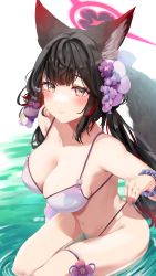 Rule 34 | 1girl, animal ear fluff, animal ears, bikini, black hair, blue archive, blush, breasts, brown eyes, cleavage, closed mouth, collarbone, commentary, eix2, english commentary, flower, hair flower, hair ornament, halo, highres, large breasts, long hair, looking at viewer, multicolored hair, navel, purple bikini, red hair, scrunchie, side-tie bikini bottom, sidelocks, smile, solo, streaked hair, swimsuit, two-tone hair, wakamo (blue archive), wet, white background, wrist scrunchie