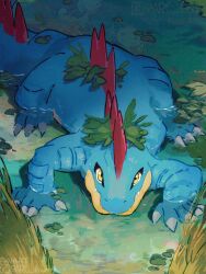 Rule 34 | arc draws, claws, creatures (company), fangs, fangs out, feraligatr, game freak, gen 2 pokemon, highres, looking at viewer, nintendo, no humans, outdoors, pokemon, pokemon (creature), reeds, solo, twitter username, water, watermark, wetland, wooper, yellow eyes