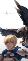 Rule 34 | 1boy, arm up, armor, arthur pendragon (fate), bird, blonde hair, breastplate, buckle, clenched hand, copyright name, eagle, fate/prototype, fate (series), gauntlets, green eyes, hood, light smile, logo, male focus, md5 mismatch, parted lips, pauldrons, resolution mismatch, short hair, shoulder armor, simple background, sinsora, solo, white background