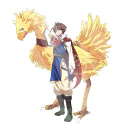 Rule 34 | 1boy, 1other, bartz klauser, beak, belt, belt buckle, bird, blue eyes, blue tunic, boots, brown hair, buckle, chocobo, cloak, closed mouth, crazy02oekaki, final fantasy, final fantasy v, full body, hair between eyes, hand on another&#039;s neck, highres, long sleeves, male focus, red cloak, shirt, short hair, smile, standing, talons, white background, white shirt