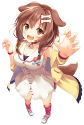Rule 34 | 1girl, :3, animal collar, animal ears, blush, bone hair ornament, bracelet, braid, breasts, brown eyes, brown hair, buttons, cartoon bone, choker, claw pose, cleavage, collar, collarbone, commentary request, dog ears, dog girl, dog tail, dress, fang, fingernails, foreshortening, from above, full body, hair between eyes, hair ornament, hairclip, highres, hololive, inugami korone, inugami korone (1st costume), jacket, jewelry, long fingernails, long hair, looking at viewer, loose socks, low twin braids, low twintails, medium breasts, minazuki mizu, nail polish, raised eyebrows, red collar, red socks, shoes, short dress, simple background, smile, sneakers, socks, solo, tail, twin braids, twintails, virtual youtuber, w arms, white background, white dress, wristband, yellow jacket, yellow nails