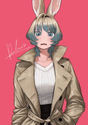 Rule 34 | 1girl, absurdres, blush, coat, fang, female focus, hair intakes, hands in pockets, highres, looking at viewer, open mouth, original, pink background, pueblo, rabbit ears, ribbed sweater, signature, silver hair, simple background, skin fang, solo, sweater, trench coat, upper body