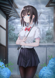Rule 34 | 1girl, absurdres, black hair, black pantyhose, blue eyes, blue flower, blue skirt, blunt bangs, blush, bow, bowtie, closed mouth, cloud, cloudy sky, collared shirt, commentary request, day, fence, flower, hair ornament, hairclip, highres, holding, holding umbrella, house, hydrangea, looking at viewer, neon (hhs9444), original, outdoors, overcast, pantyhose, pleated skirt, rain, red bow, red bowtie, school uniform, shirt, shirt tucked in, short sleeves, skirt, sky, solo, standing, summer, transparent, transparent umbrella, tree, umbrella, uniform, utility pole, white shirt