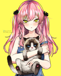 Rule 34 | 1girl, @ @, absurdres, animal, artist name, bare arms, blue eyes, blush, cat, character request, collarbone, commentary, copyright request, denim apron, grumpy cat, gula atur sendiri, highres, holding, holding animal, holding cat, long hair, looking at viewer, parted lips, pink hair, simple background, solo, twitter logo, twitter username, upper body, yellow background, yellow eyes