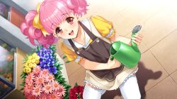 Rule 34 | 1girl, :d, apron, blunt bangs, bow, brown apron, collarbone, day, doukyuusei, dutch angle, flower, frilled skirt, frills, game cg, hair bow, highres, holding, kneeling, long hair, looking at viewer, miniskirt, official art, open mouth, outdoors, pink flower, pink hair, purple flower, red eyes, red flower, red rose, rose, shirt, short sleeves, skirt, smile, solo, sumeragi kohaku, suzuhi miho, thighhighs, twintails, white thighhighs, yellow bow, yellow flower, yellow shirt, yellow skirt