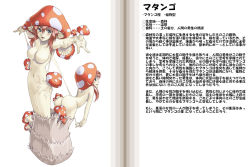 Rule 34 | 1girl, 2girls, ass, bent over, blush, breasts, character profile, fungus, grey eyes, kenkou cross, large breasts, looking at viewer, matango (monster girl encyclopedia), monster girl, monster girl encyclopedia, multiple girls, mushroom, mushroom girl, navel, no nipples, nude, official art, red hair