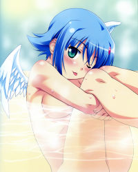 Rule 34 | 1girl, :p, absurdres, angel, angel of light nanael, angel wings, blue eyes, blue hair, blush, highres, hugging own legs, kuuchuu yousai, leg hold, legs together, matching hair/eyes, nanael (queen&#039;s blade), nanael (queen's blade), nude, one eye closed, queen&#039;s blade, short hair, solo, tongue, tongue out, water, wet, wings, wink