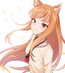 Rule 34 | 1girl, animal ear fluff, animal ears, blush, brown hair, child (isoliya), commentary, highres, holo, long hair, long sleeves, looking at viewer, pouch, red eyes, simple background, smile, solo, spice and wolf, white background, wolf ears, wolf girl