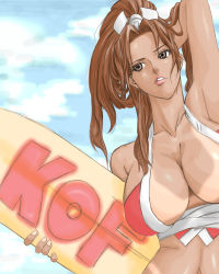 Rule 34 | 1girl, absurdres, adapted costume, bad id, bad pixiv id, breasts, cleavage, copyright name, fatal fury, highres, large breasts, lips, mattsun (lyohei-adgjmptw), shiranui mai, solo, surfboard, the king of fighters