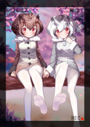 Rule 34 | 10s, 2girls, bad id, bad pixiv id, black hair, blush, border, brown hair, cherry blossoms, closed mouth, coat, day, eurasian eagle owl (kemono friends), feet, frown, fur collar, hair between eyes, head tilt, holding hands, in tree, kemono friends, long sleeves, looking at viewer, looking away, multicolored hair, multiple girls, no shoes, northern white-faced owl (kemono friends), outdoors, pantyhose, petals, recording, red eyes, rokuroku (xd p), sitting, soles, toes, tree, two-tone hair, viewfinder, white hair, white legwear, yuri