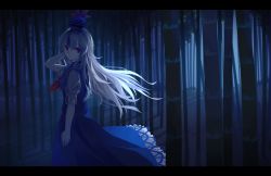 Rule 34 | 1girl, akaiha (akaihasugk), bamboo, bamboo forest, blue dress, blue hair, closed mouth, dress, feet out of frame, forest, from side, grey hair, hat, kamishirasawa keine, letterboxed, long hair, looking at viewer, multicolored hair, nature, night, red eyes, red neckwear, shirt, short sleeves, solo, touhou, two-tone hair, white shirt
