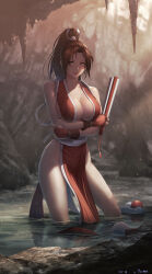 Rule 34 | 1girl, absurdres, breasts, fatal fury, highres, large breasts, long hair, ponytail, shiranui mai, snk, solo, the king of fighters, tomo eokaiteru