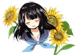 Rule 34 | 1girl, black hair, blue neckerchief, blue sailor collar, blush, closed eyes, commentary request, facing viewer, flower, highres, leaf, long hair, manmi, neckerchief, open mouth, original, portrait, sailor collar, simple background, smile, solo, sunflower, white background, yellow flower
