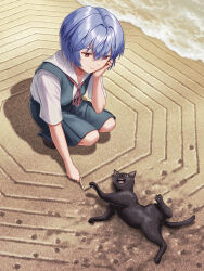 Rule 34 | 1girl, at field, ayanami rei, beach, black cat, blue hair, blue skirt, breasts, brown footwear, cat, closed mouth, collared shirt, commentary, day, drawing (action), dress shirt, elbow on knee, elbow rest, from above, full body, hair between eyes, head rest, highres, holding, holding stick, light smile, loafers, looking at animal, looking down, lying, neck ribbon, neon genesis evangelion, octagon, on back, outdoors, paw print, playing, red eyes, red ribbon, ribbon, rolling, sand, school uniform, shadow, shirt, shoes, short hair, short sleeves, skirt, small breasts, smile, solo, squatting, stick, suspender skirt, suspenders, tokyo-3 middle school uniform, water, white shirt, yahha