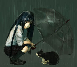 Rule 34 | 1girl, black hair, cat, face, long hair, original, rain, school uniform, shirabi, sitting, smile, solo, transparent umbrella, umbrella, wet