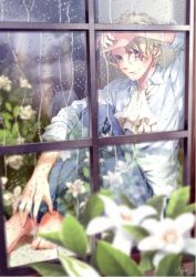 Rule 34 | 1boy, ascot, aya (shin&#039;ya meisai), barefoot, blonde hair, blue eyes, blue pants, closed mouth, collar, collared shirt, flower, hand on own head, hand on own leg, indoors, long sleeves, looking at viewer, looking outside, male focus, one piece, pants, rain, sabo (one piece), scar, shirt, short hair, signature, sitting, sleeves rolled up, smile, solo, white ascot, white flower, white shirt, window