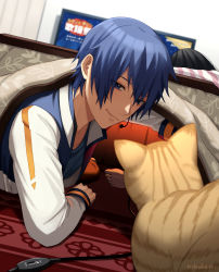 Rule 34 | 1boy, blue eyes, blue hair, cat, coat, faceless, faceless female, highres, indoors, kaito (vocaloid), kotatsu, long sleeves, male focus, nokuhashi, smile, solo focus, table, vocaloid, yellow cat