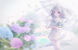 Rule 34 | 1girl, arm up, blue flower, bouquet, braid, bug, butterfly, choker, collarbone, commentary request, dress, feathered wings, flower, grey hair, halo, highres, hydrangea, insect, long hair, looking at viewer, low-braided long hair, low-tied long hair, original, purple flower, rain, sailor collar, sailor dress, short sleeves, solo, standing, suzumori uina, transparent, transparent umbrella, umbrella, water drop, white choker, white dress, white sailor collar, white wings, wings
