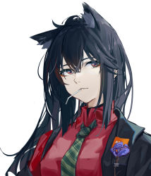 Rule 34 | 1girl, absurdres, animal ear fluff, animal ears, arknights, black hair, black jacket, boutonniere, candy, closed mouth, collared shirt, dress shirt, flower, food, green necktie, highres, jacket, lollipop, long hair, looking at viewer, necktie, official alternate costume, orange eyes, red shirt, shirt, simple background, solo, striped necktie, striped neckwear, texas (arknights), texas (willpower) (arknights), upper body, white background, wolf ears, xiu kukkii