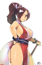 Rule 34 | 1girl, ;), absurdres, breasts, brown eyes, brown hair, folded fan, commentary, dual wielding, english commentary, eymbee, fatal fury, female focus, folding fan, from side, hair ribbon, hand fan, high ponytail, highleg, highleg panties, highres, holding, large breasts, lips, looking at viewer, matching hair/eyes, ninja, no bra, obi, one eye closed, panties, pelvic curtain, revealing clothes, ribbon, sash, shiranui mai, sideboob, smile, solo, standing, thick thighs, thighs, underwear, white background, wink