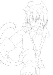 Rule 34 | 1girl, absurdres, ahoge, animal ears, boots, cat ears, cat tail, detached sleeves, dodome-iro mayonnaise, unworn eyewear, glasses, greyscale, highres, holding, holding removed eyewear, lineart, looking at viewer, monochrome, monochrome, original, short hair, smile, solo, tail, thighhighs, transparent background