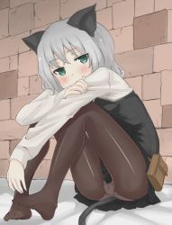 Rule 34 | 1girl, animal ears, bad id, bad pixiv id, black pantyhose, blush, brick wall, cat ears, cat tail, crotch, dust box, feet, green eyes, grey hair, hugging own legs, looking at viewer, no shoes, panties, panties under pantyhose, pantyhose, pantyshot, pleated skirt, sanya v. litvyak, short hair, sitting, skindentation, skirt, solo, strike witches, tail, toes, underwear, upskirt, world witches series