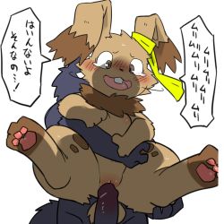 Rule 34 | 1boy, 1girl, brown eyes, rabbit, character request, dog, furry, hetero, japanese text, konopizaga!!, penis, pussy, sex, text focus, translation request