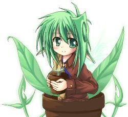 Rule 34 | 1girl, brown jacket, flower pot, green eyes, green hair, holding, jacket, leaf, long sleeves, looking at viewer, makino (ukiuo), matching hair/eyes, monster girl, oekaki, original, plant, plant girl, potted plant, simple background, solo, white background