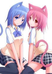 Rule 34 | 2girls, animal ears, arm support, bad id, bad nicoseiga id, bell, black legwear, blue eyes, blue hair, blush, bow, cat ears, cat girl, cat tail, collar, female focus, highres, jingle bell, kneeling, kuwachii, looking at viewer, miniskirt, multiple girls, neck bell, open mouth, original, pink hair, plaid, plaid skirt, pleated skirt, red eyes, ribbon, school uniform, simple background, sitting, skirt, smile, sweater vest, tail, thighhighs, uniform, v arms, wariza, white background, zettai ryouiki