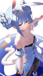 Rule 34 | 1girl, absurdres, animal ear fluff, animal ears, bare shoulders, black leotard, black pantyhose, blue hair, braid, braided bun, breasts, carrot, closed mouth, collarbone, commentary request, detached sleeves, don-chan (usada pekora), double bun, dress, fur-trimmed dress, fur trim, gloves, hair between eyes, hair bun, hair intakes, hand up, highres, hololive, leotard, multicolored hair, pantyhose, puffy short sleeves, puffy sleeves, rabbit ears, red eyes, scottie (phantom2), short eyebrows, short sleeves, small breasts, strapless, strapless dress, strapless leotard, sweat, thick eyebrows, two-tone hair, unworn gloves, usada pekora, usada pekora (1st costume), virtual youtuber, white dress, white hair, white sleeves