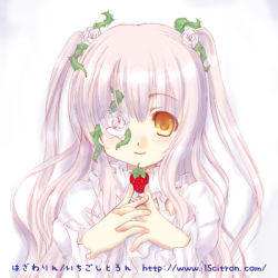 Rule 34 | 00s, 15citron, 1girl, eyepatch, flower, food, fruit, holding, holding food, holding fruit, kirakishou, long hair, lowres, non-web source, rose, rozen maiden, solo, strawberry, twintails, very long hair, white flower, white rose