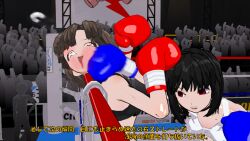 Rule 34 | 3d custom girl, boxing, catfight, lucky10200, punching