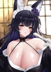 Rule 34 | 1girl, :p, animal ear fluff, animal ears, azur lane, bare shoulders, black choker, black hair, black kimono, blurry, blurry background, breasts, choker, cleavage, commentary request, facial mark, flower, folding fan, fox ears, frilled hairband, frills, gloves, hair flower, hair ornament, hairband, hand fan, highres, hokkaidonder, holding, holding fan, huge breasts, indoors, japanese clothes, kimono, large breasts, long hair, looking at viewer, musashi (azur lane), musashi (violet moonglow) (azur lane), off shoulder, purple flower, purple rose, rose, solo, tongue, tongue out, upper body, whisker markings, white gloves, yellow eyes