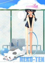 Rule 34 | 1girl, black one-piece swimsuit, braid, cat, chain-link fence, cloud, contrail, day, fence, hat, hose, one-piece swimsuit, rooftop, school swimsuit, sky, solo, swimsuit, twin braids