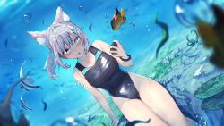 Rule 34 | 1girl, absurdres, angelfish, animal, animal ear fluff, animal ears, black one-piece swimsuit, blue archive, blue eyes, breasts, commentary, competition swimsuit, english commentary, fish, hair ornament, highres, holding, large breasts, looking at viewer, official alternate costume, one-piece swimsuit, ponytail, rou (rou22), shiroko (blue archive), shiroko (swimsuit) (blue archive), short hair, solo, swimsuit, thighs, tropical fish, underwater, white hair, x hair ornament