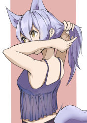 Rule 34 | 1girl, absurdres, animal ears, arknights, arms up, bare arms, bare shoulders, breasts, camisole, chinese commentary, commentary request, from behind, hair between eyes, head tilt, highres, long hair, medium breasts, midriff peek, pink background, provence (arknights), purple hair, senmiao, solo, spaghetti strap, tail, two-tone background, tying hair, upper body, white background, wolf ears, wolf tail, yellow eyes