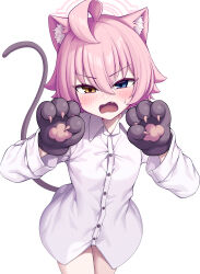 Rule 34 | 1girl, absurdres, ahoge, animal ear fluff, animal ears, animal hands, black gloves, blue archive, blue eyes, blush, buttons, cat ears, cat paws, cat tail, collared shirt, cowboy shot, fang, gloves, halo, highres, hoshino (blue archive), hoshino (young) (blue archive), long sleeves, looking at viewer, metaljelly, open mouth, paw gloves, pink hair, pink halo, shirt, short hair, solo, tail, white shirt, yellow eyes