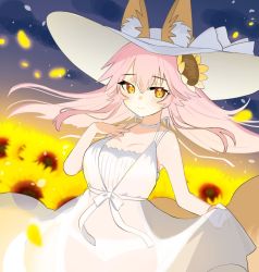 Rule 34 | 1girl, animal ear fluff, animal ears, blush, breasts, clothes lift, cowboy shot, dress, dress lift, ears through headwear, fate/extra, fate (series), flower, fox ears, fox girl, fox tail, hair between eyes, hair flower, hair ornament, hand on own chest, hat, large breasts, long hair, looking at viewer, night, night sky, outdoors, panties, petals, pink hair, ribbon, see-through, see-through dress, shadow, sidelocks, sky, smile, solo, standing, sun hat, sunflower, sunflower hair ornament, tail, tamamo (fate), tamamo no mae (fate/extra), tsukimi okayu, underwear, white dress, white hat, white panties, white ribbon, yellow eyes