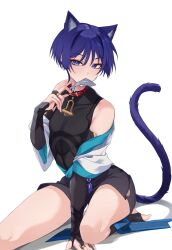 Rule 34 | 1boy, absurdres, animal ears, black shirt, black shorts, black sleeves, blue eyes, cat boy, cat ears, cat tail, chobonu, fish, fish (food), genshin impact, hair between eyes, highres, japanese clothes, looking at viewer, male focus, mouth hold, purple hair, purple tail, scaramouche (genshin impact), shirt, short hair, shorts, solo, tail, wanderer (genshin impact), white background