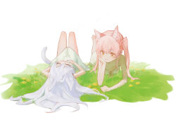 Rule 34 | 2girls, absurdres, animal ears, bare arms, bare legs, cat ears, cat girl, cat tail, closed mouth, commentary request, dress, flower, grass, highres, long hair, lying, multiple girls, nago nago, on back, on stomach, orange eyes, original, outdoors, pink hair, simple background, smile, tail, twintails, white background, white dress, white hair, yellow flower